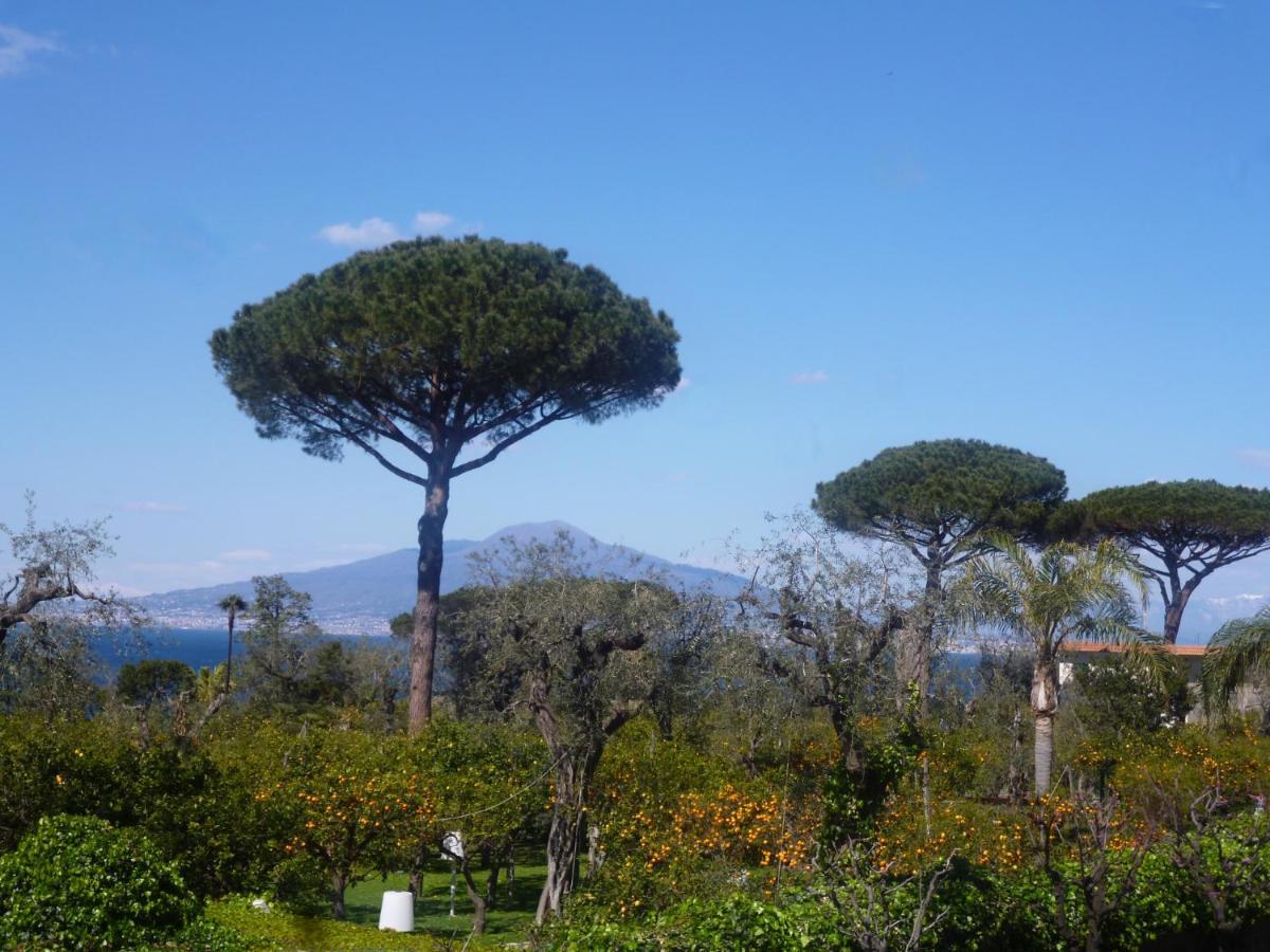 Angelina Suite B&B - Sorrento Centro Eksteriør billede